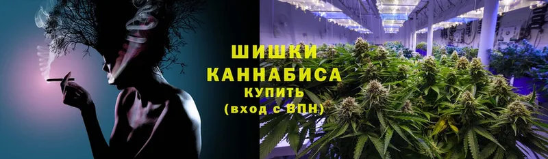 MEGA tor  купить наркотики цена  Собинка  Канабис OG Kush 